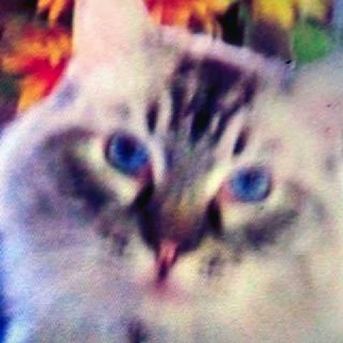 2nd Singing Romans 10:13 KJV Bible Verse by Unknown