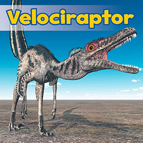 Velociraptor