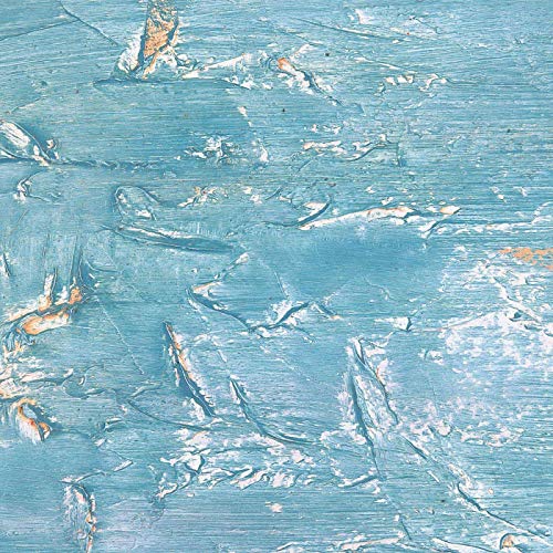 Contemporary Moral Issues (Joel’s Ethics Classes) by ballivian