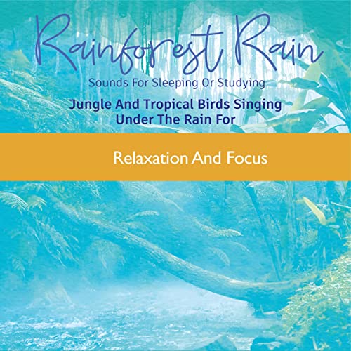 Rainforest Rain: Sounds for Sleeping or Studying