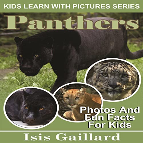 Panthers: Photos and Fun Facts for Kids