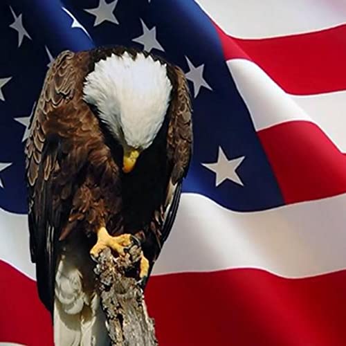 Abortion-loving Methodists, Facebook haters, Undercover video by Unknown