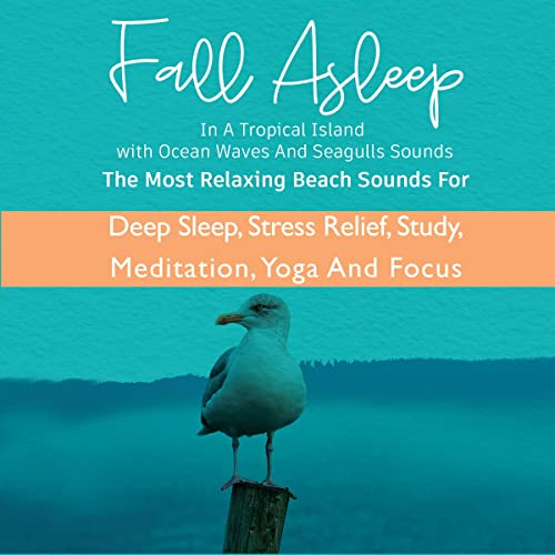 Fall Asleep in a Tropical Island with Ocean Waves and Seagulls Sounds