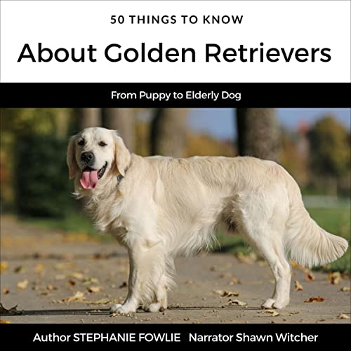 50 Things to Know About Golden Retrievers