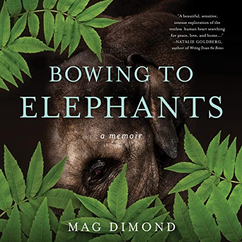 Bowing to Elephants by Mag Dimond