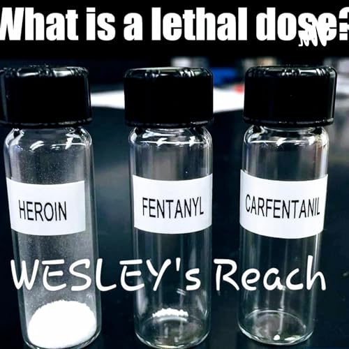 The RESET Collective: To END The OPIATE EPIDEMIC by Tammi Sparveri