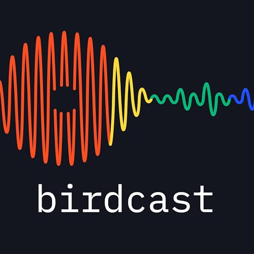 Birdcast - Podcast for B2B SaaS teams by Bird Eats Bug
