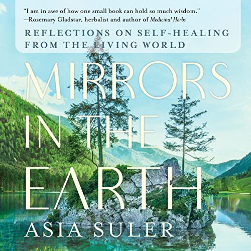 Mirrors in the Earth by Asia Suler