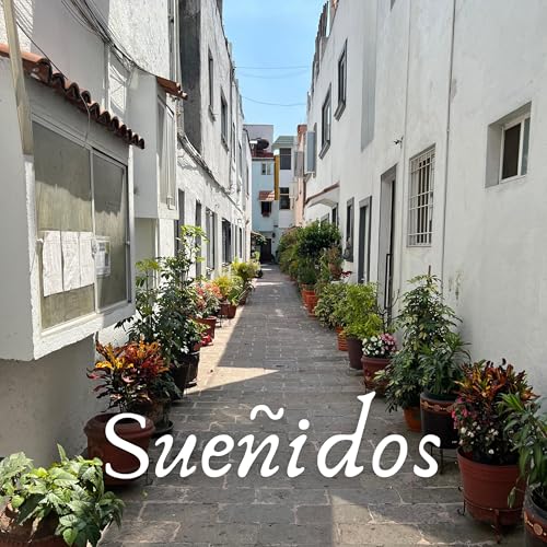 Sueñidos: Ambient Soundscapes by Nick DePrey