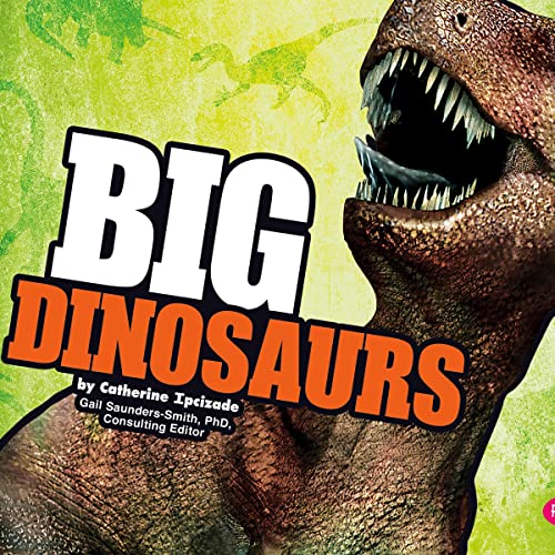 Big Dinosaurs by Catherine Ipcizade