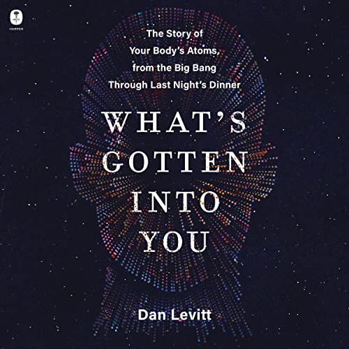 What's Gotten Into You by Dan Levitt