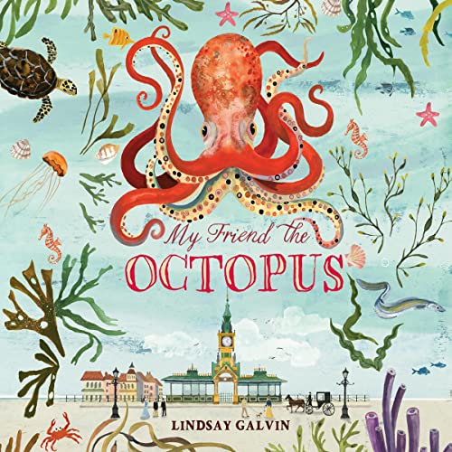 My Friend the Octopus by Lindsay Galvin