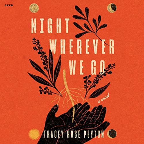 Night Wherever We Go by Tracey Rose Peyton