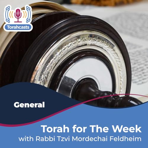 Torah for The Week by Rabbi Tzvi Mordechai Feldheim