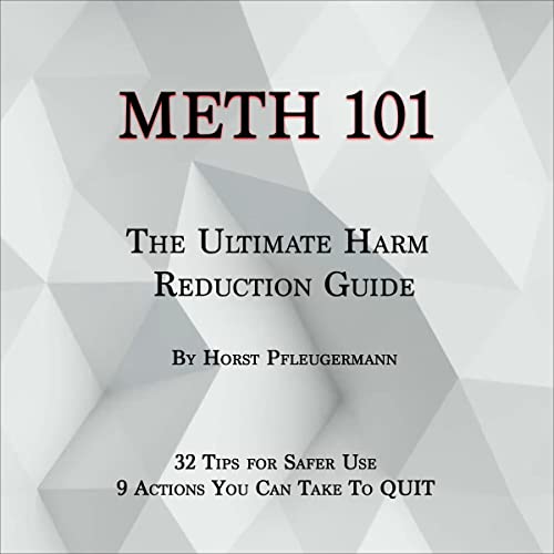 Meth 101 by Horst Pfleugermann