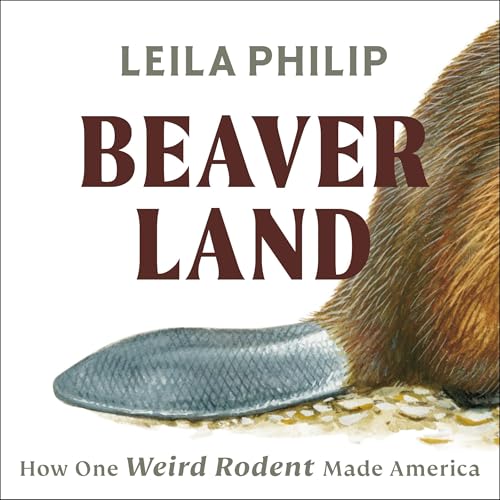 Beaverland by Leila Philip