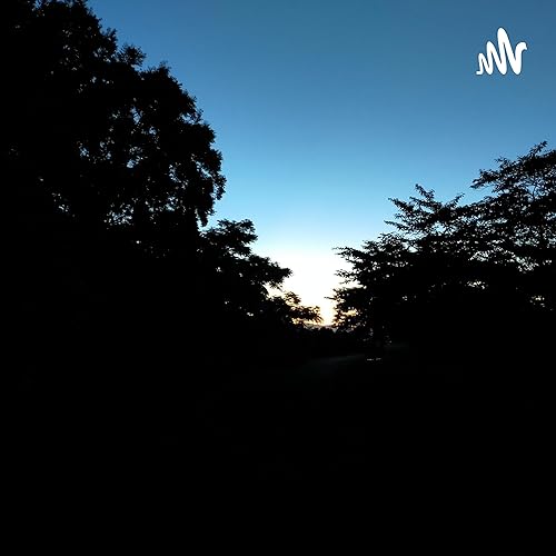 Japanese Ambient for Sleeping by Michiru Aoyama