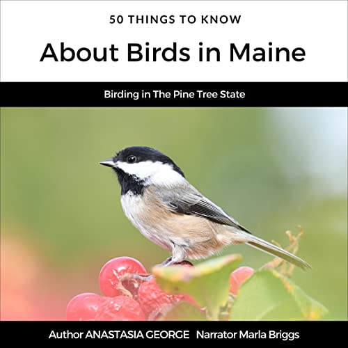 50 Things to Know About Birds in Maine: Birding in the Pine Tree State