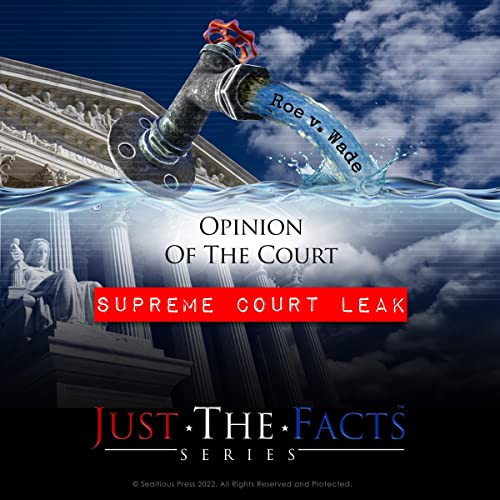 Supreme Court Leak by Earl Gubiotti