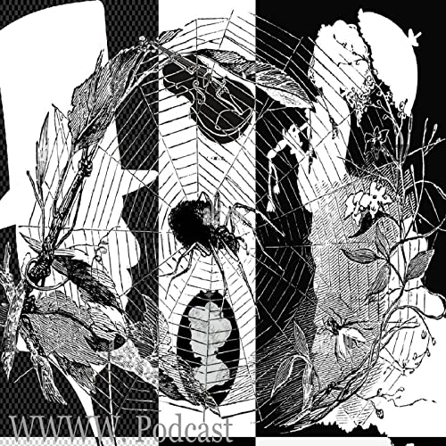 The Wicked Webs We Weave by Ryan McKern