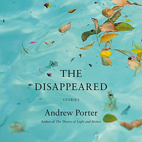 The Disappeared by Andrew Porter