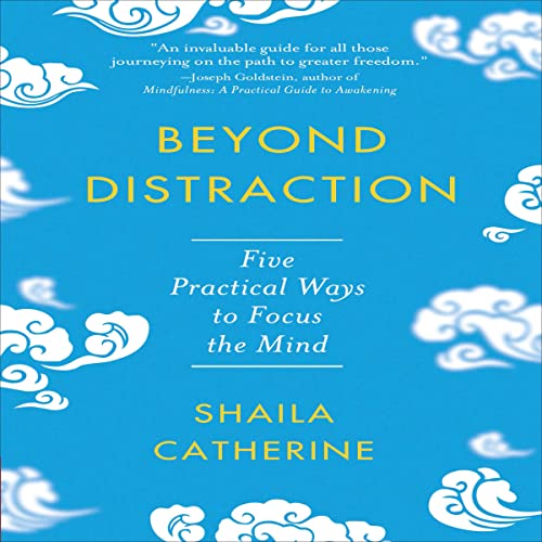 Beyond Distraction by Shaila Catherine