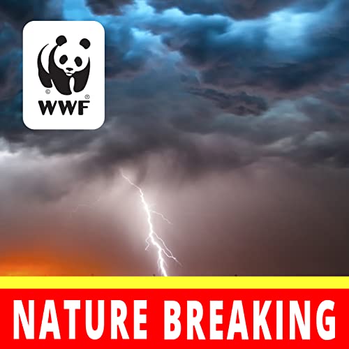 Nature Breaking by World Wildlife Fund