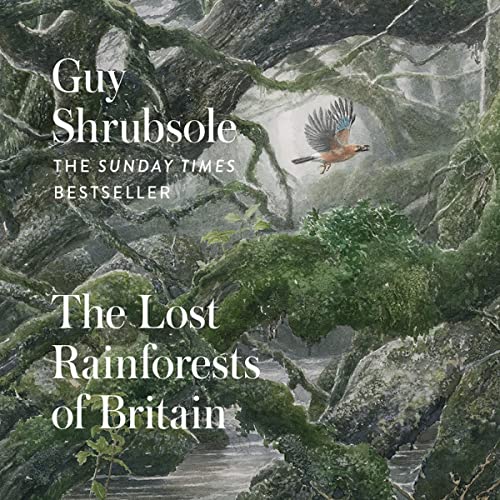 The Lost Rainforests of Britain