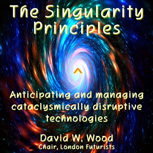 The Singularity Principles