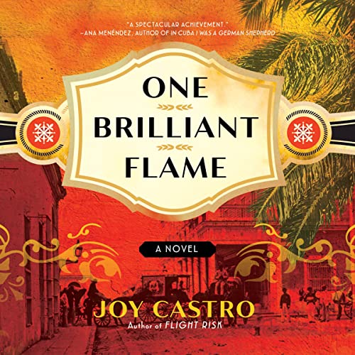 One Brilliant Flame by Joy Castro