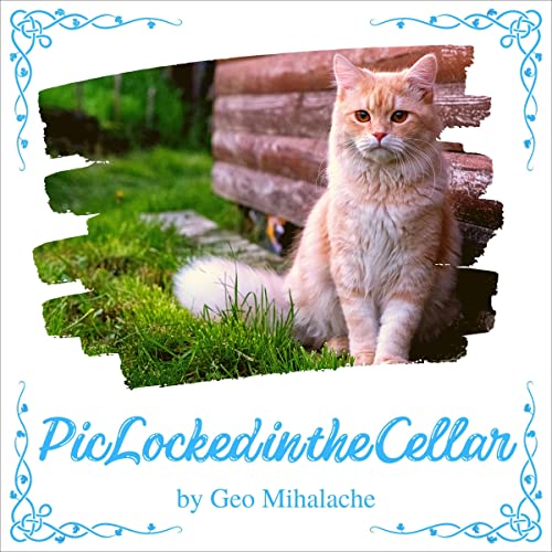 Pic the Tomcat Locked in the Cellar - Motanul Pic închis în zămnic (English and Romanian Bilingual Edition)