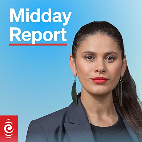 Polluting companies taken to Supreme Court by iwi leader by Unknown