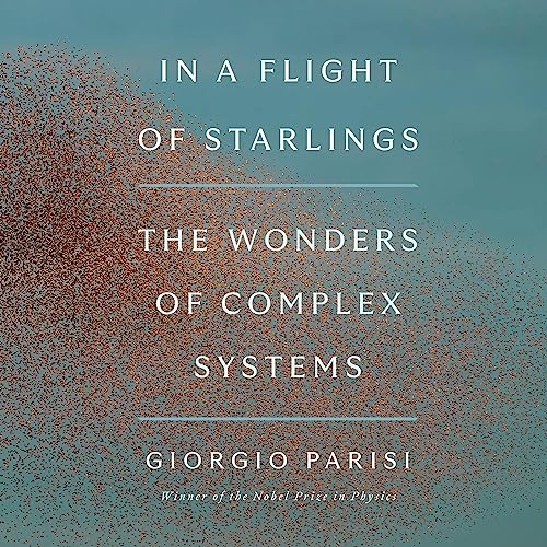 In a Flight of Starlings by Giorgio Parisi