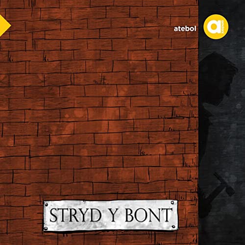 Stryd y Bont [Bridge Street]