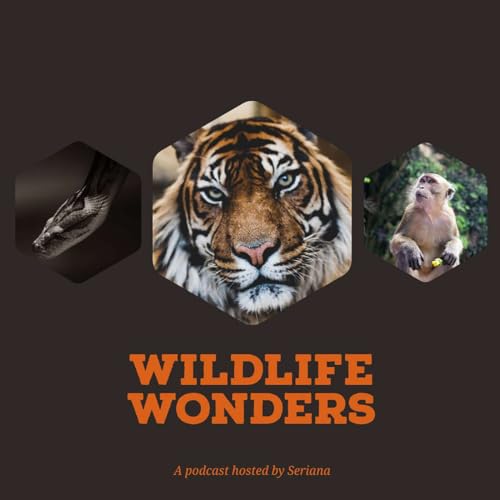 Wildlife Wonders by Seriana 