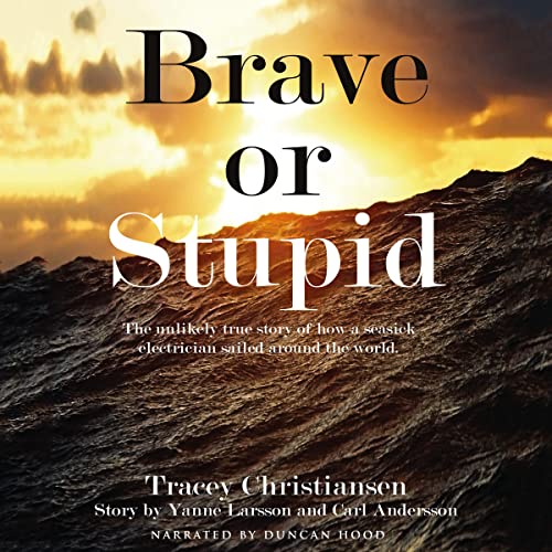 Brave or Stupid by Tracey Christiansen