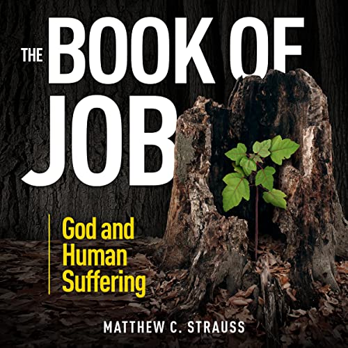 The Book of Job by Matthew C. Strauss