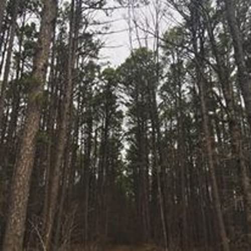 These Haunted Hollows by Gatehouse Productions