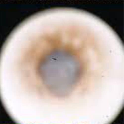 NASA is running a simulation of an asteroid hitting Earth by Unknown