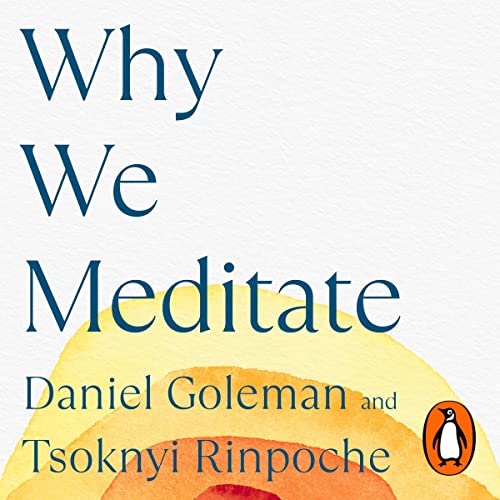 Why We Meditate