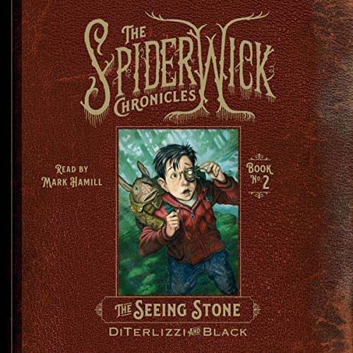 The Seeing Stone by Tony DiTerlizzi