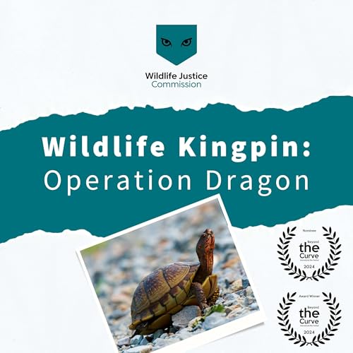 Wildlife Kingpin by Wildlife Justice Commission