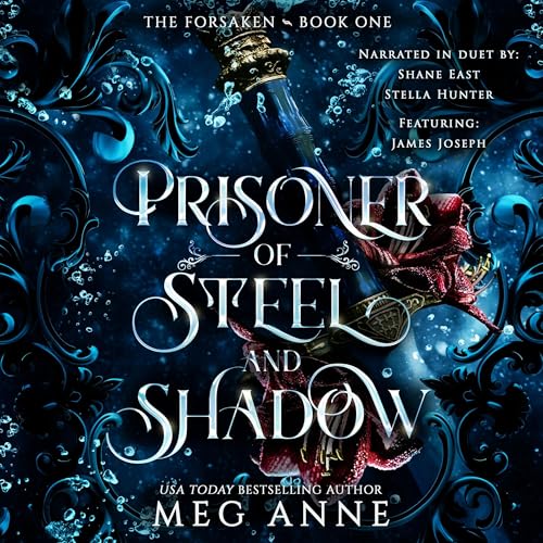 Prisoner of Steel and Shadow