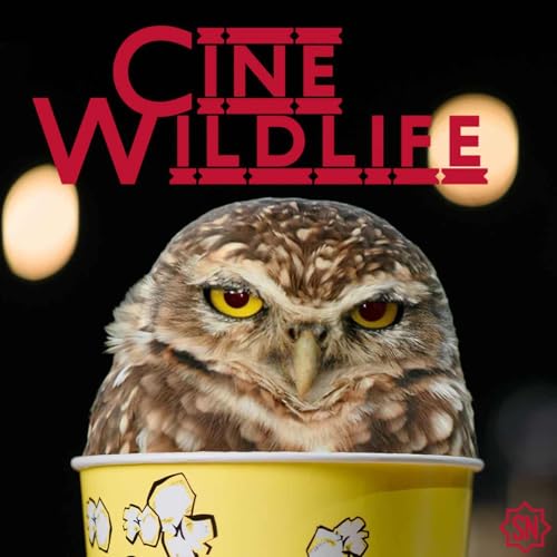 Cine Wildlife by Wildlife Culture Collective