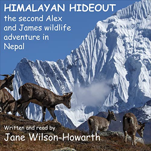 Himalayan Hideout by Jane Wilson-Howarth