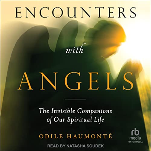Encounters with Angels by Odile Haumonte