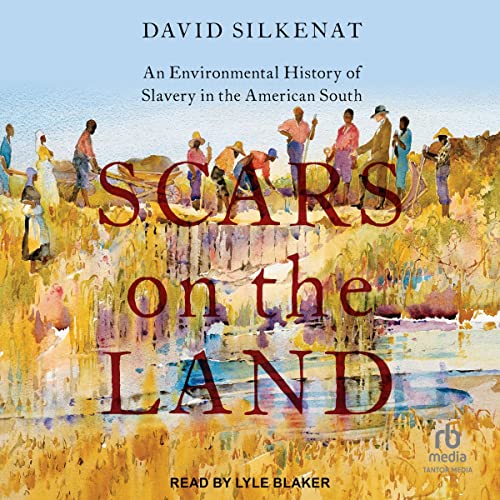 Scars on the Land by David Silkenat