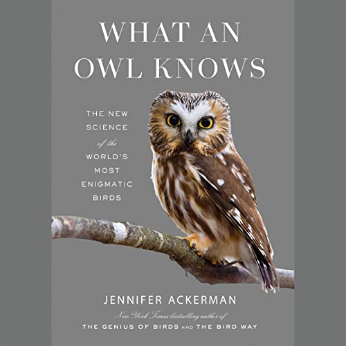 What an Owl Knows by Jennifer Ackerman