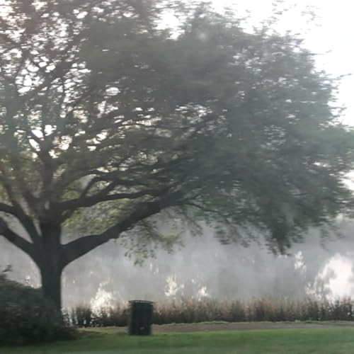 Undertaking Shadow Work by Fae