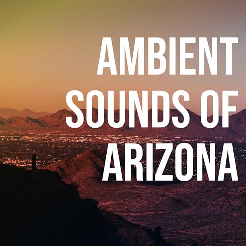 Ambient Sounds of Arizona by A guy in Arizona
